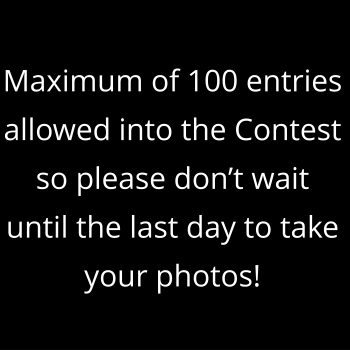 100 Maximum entries allowed in Contest!