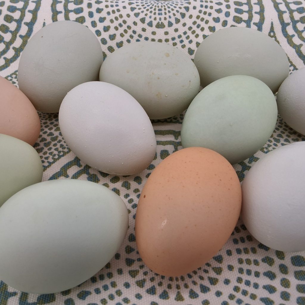 Smucker's Farm Fresh Poultry